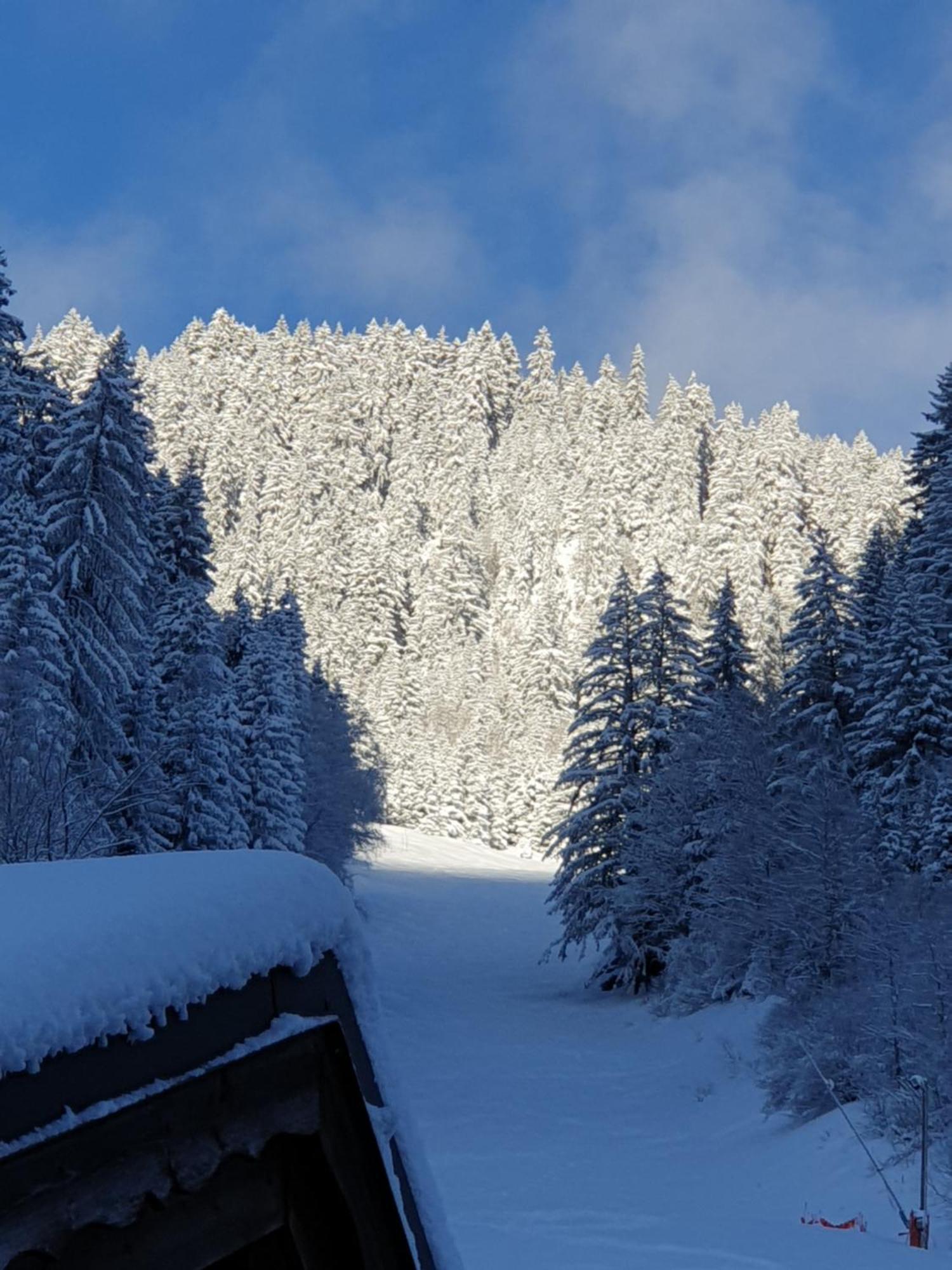 Chalet Les Avernes - Champagny En Vanoise, Domaine La Plagne Paradiski Eksteriør bilde