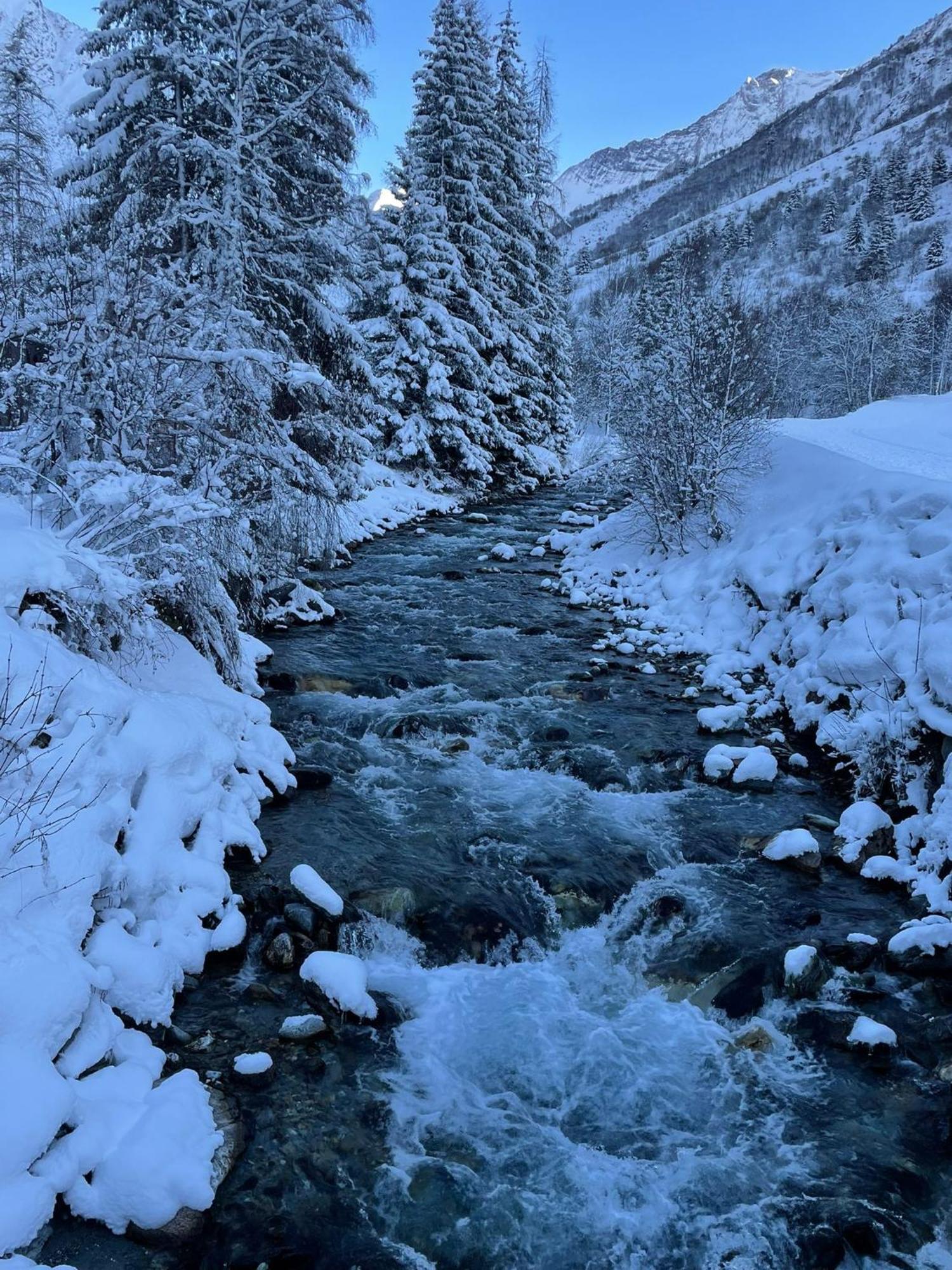 Chalet Les Avernes - Champagny En Vanoise, Domaine La Plagne Paradiski Eksteriør bilde